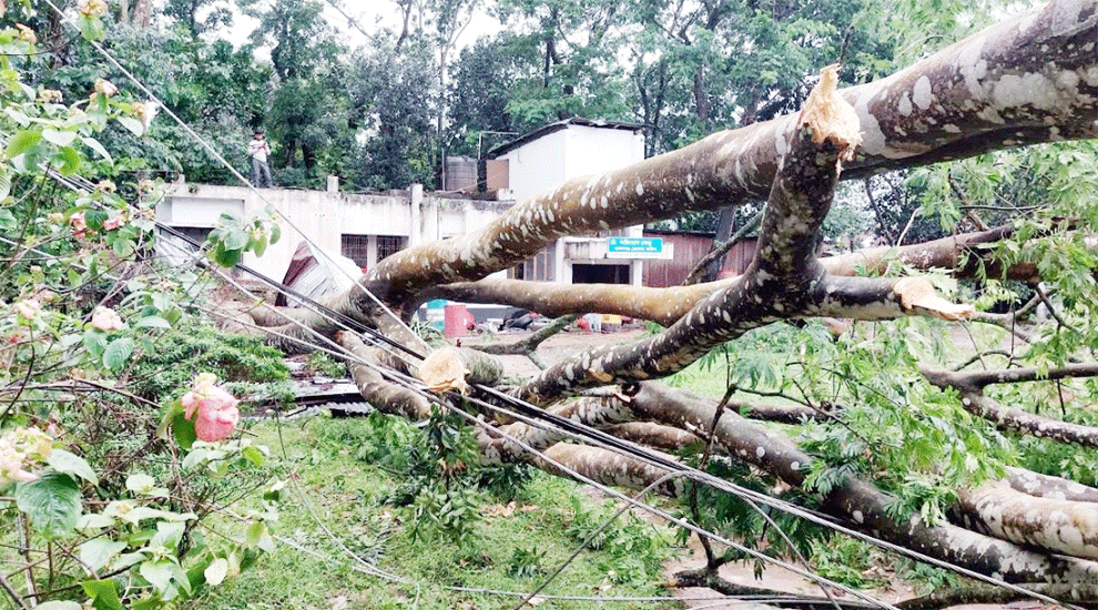 কমলগঞ্জে কালবৈশাখি ঝড়ে লন্ড*ভ*ন্ড বিদ্যুৎ ব্যবস্থা