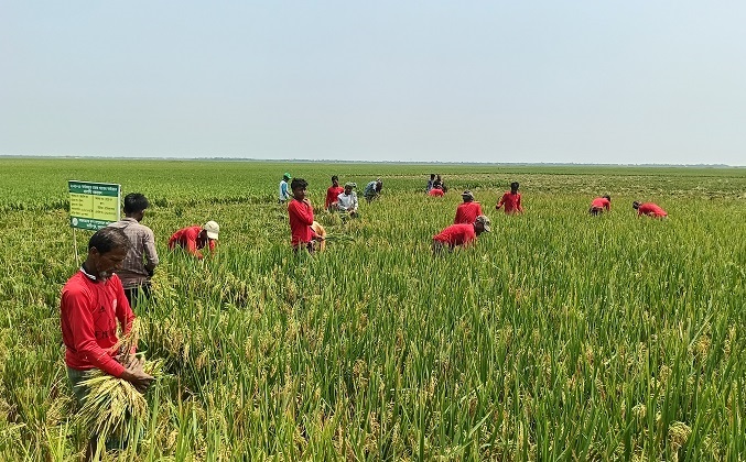 সুনামগঞ্জে অকাল বন্যার শঙ্কা